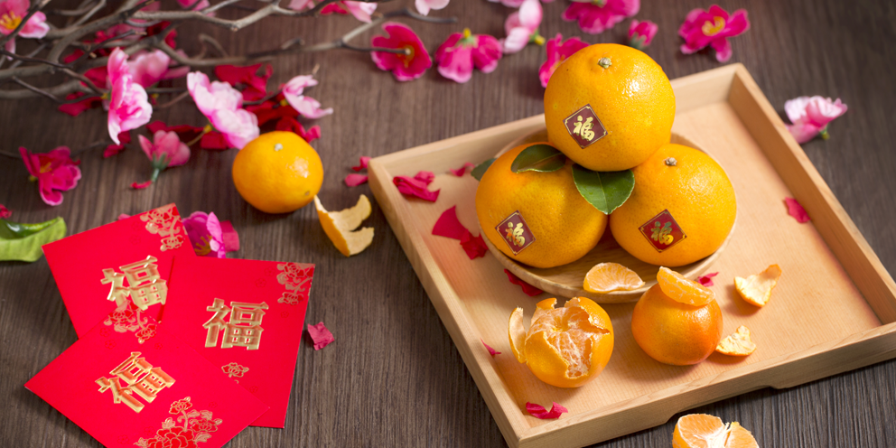 Chinese new year in singapore: get the detail of chinese new year in Chinese New Year Sale Vouchers & Promo Codes Malaysia | February 2020