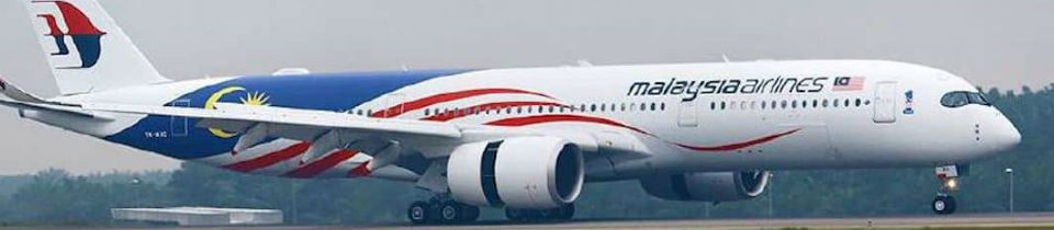 NST Malaysia Airlines Promo Codes  Jul 2022  20% OFF